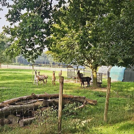 Ferienhaus Banana Lodge Bruchhausen-Vilsen Εξωτερικό φωτογραφία
